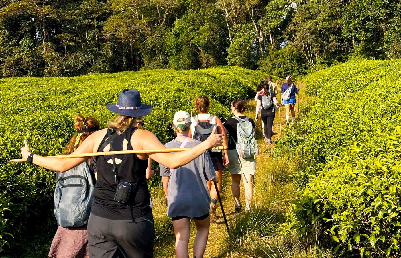 8-days-rwanda-safari-adventure
